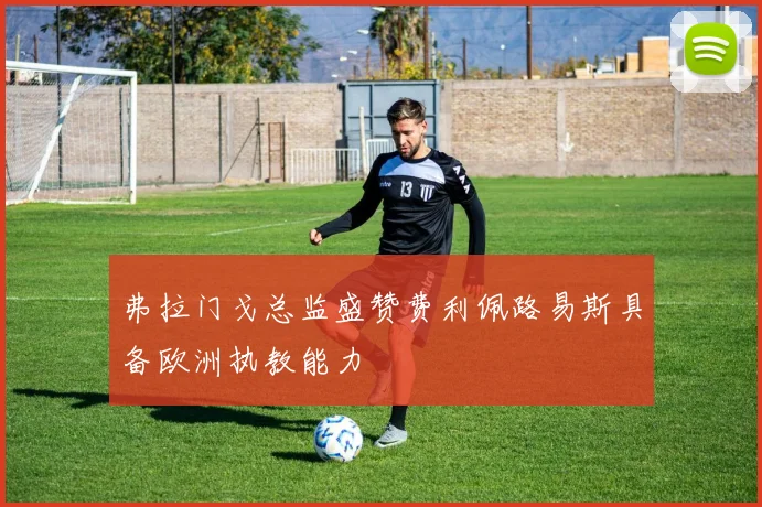 弗拉门戈总监盛赞费利佩路易斯具备欧洲执教能力