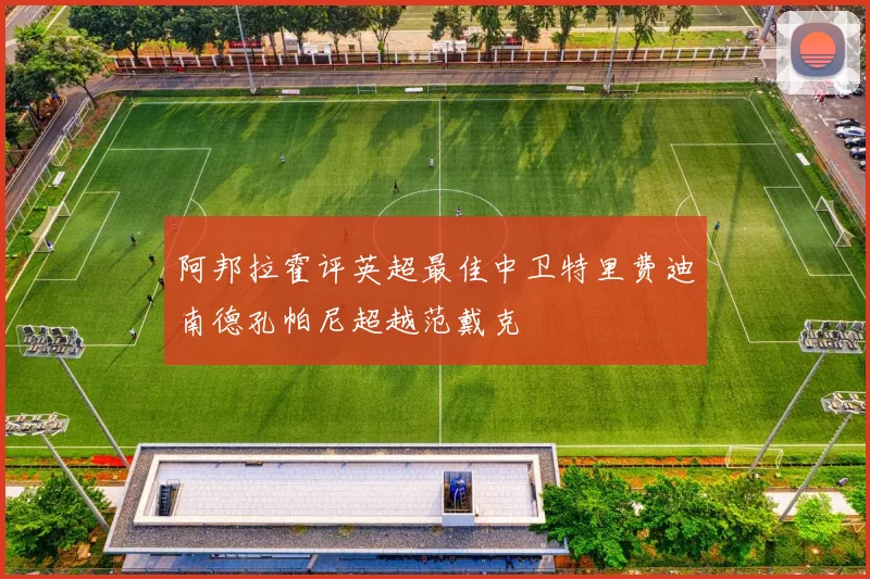 阿邦拉霍评英超最佳中卫特里费迪南德孔帕尼超越范戴克