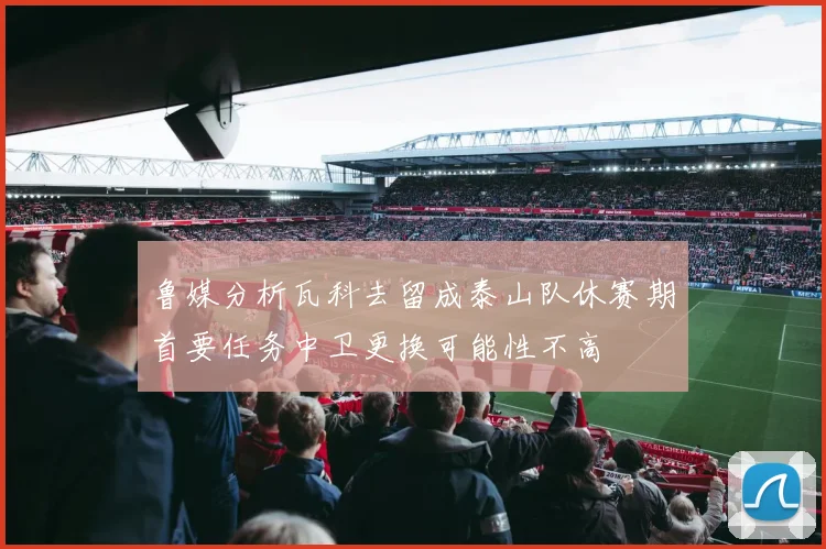 鲁媒分析瓦科去留成泰山队休赛期首要任务中卫更换可能性不高