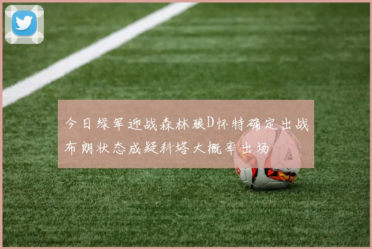 今日绿军迎战森林狼D怀特确定出战布朗状态成疑科塔大概率出场